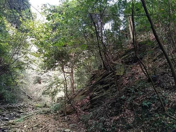 固态电池商业化前景不明朗