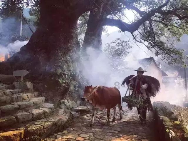 赛博朋克酒保行动
