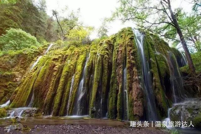 中国绿色农业盘中异动 股价大涨5.99%