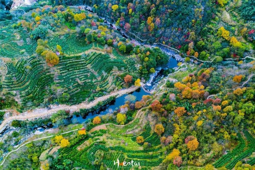 “人不为己，天诛地灭”，自私还这样光明正大？其实被世人误解了