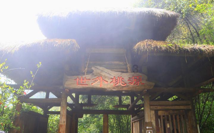 天上掉下个小猪猪