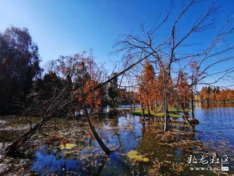 锐界L优点多多,空间大座椅舒适