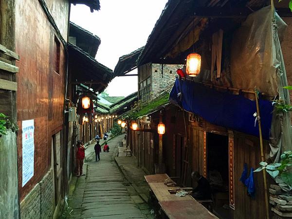 僵尸跳跳跳