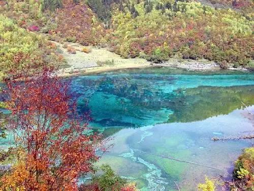 信用卡越还越多，永远还不完怎么办呢？